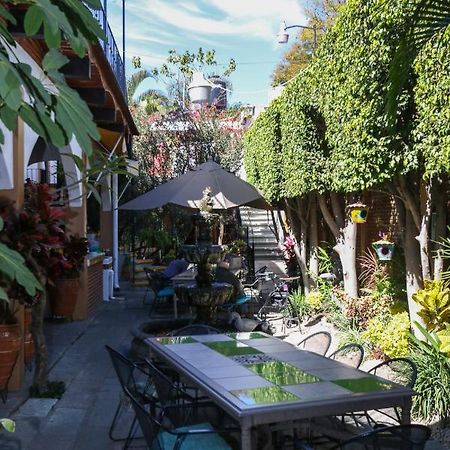 Las Mariposas Hotel & Studios Oaxaca 外观 照片