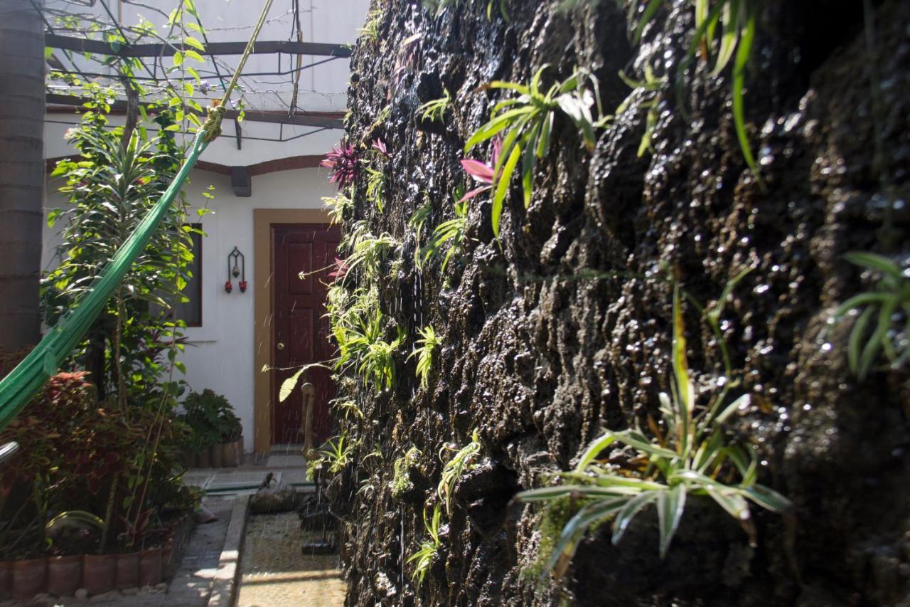 Las Mariposas Hotel & Studios Oaxaca 外观 照片