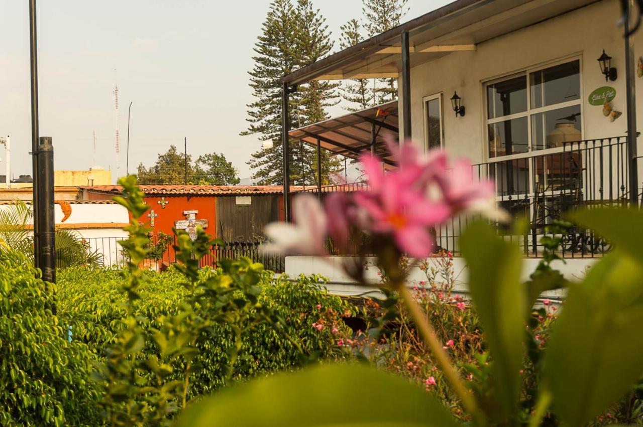 Las Mariposas Hotel & Studios Oaxaca 外观 照片