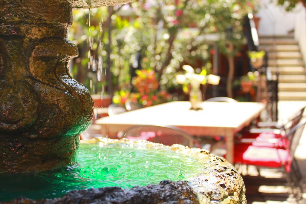 Las Mariposas Hotel & Studios Oaxaca 外观 照片